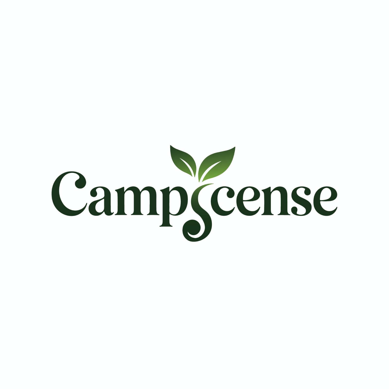 About CampScense